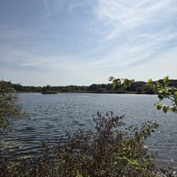 Groveland Oaks County Park