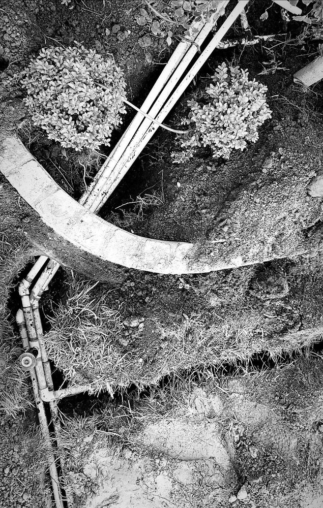 LUSH SPRINKLER REPAIR Updated August 2024 Request a Quote 13