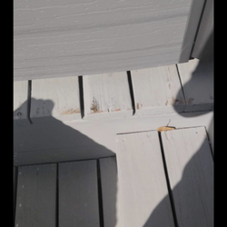 HotSprings Spas & Pool Tables 2 - Park of deck damage