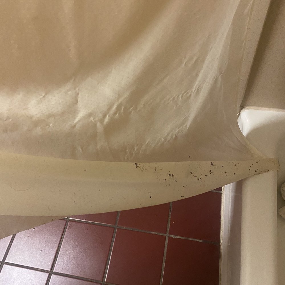 Econo Lodge Scranton Near Montage Mountain - Mold and mildew! - Hotels Near Me - Scranton, Pennsylvania Econo Lodge Scranton Near Montage Mountain - Mold and mildew! - Hotels Near Me - Scranton, Pennsylvania