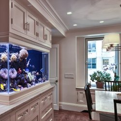 UniqueCorals - Don't get your hands wet, let us do the work for you while you enjoy your aquarium.