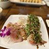 Catch Me Sushi gift card