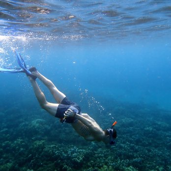 Destination Diving and Snorkel Maui - Scuba Diving Near Me