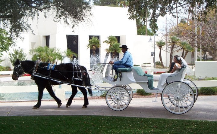 Walking M Farms - wedding in Higley, AZ