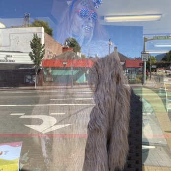 Sasquatch Donuts - a dog in a window - Donuts Near Me - Port Angeles, Washington