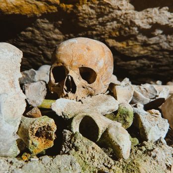 Les Catacombes de Paris - Local Flavor Near Me - Paris, 75 Les Catacombes de Paris - Local Flavor Near Me - Paris, 75