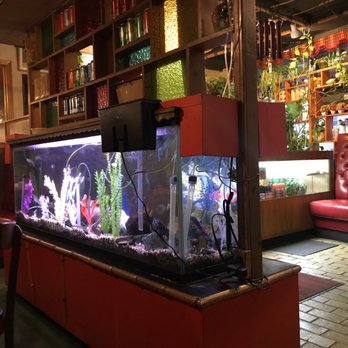 New China Tea - Chinese Near Me - Chicago, Illinois New China Tea - Chinese Near Me - Chicago, Illinois