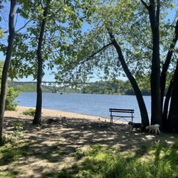 Meeker Island Dog Park