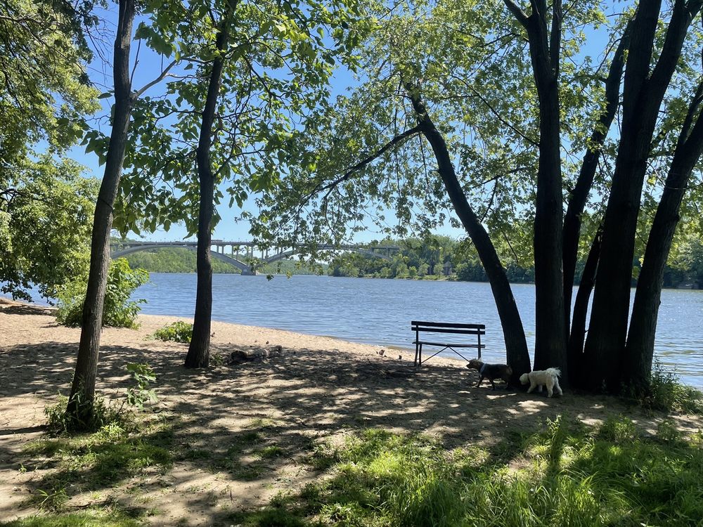 MEEKER ISLAND DOG PARK Updated September 2024 22 Photos 471 N