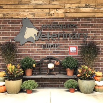 Crossgates Veterinary Clinic - Welcome Home! - Veterinarians Near Me - Pearl, Mississippi Crossgates Veterinary Clinic - Welcome Home! - Veterinarians Near Me - Pearl, Mississippi