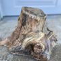 Photo of California Tree Service & Firewood