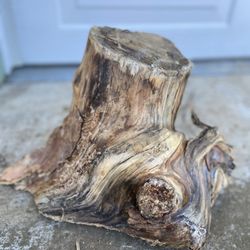 California Tree Service & Firewood - Piece of art!