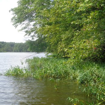 Burke Lake Park - Parks Near Me - Fairfax Station, Virginia