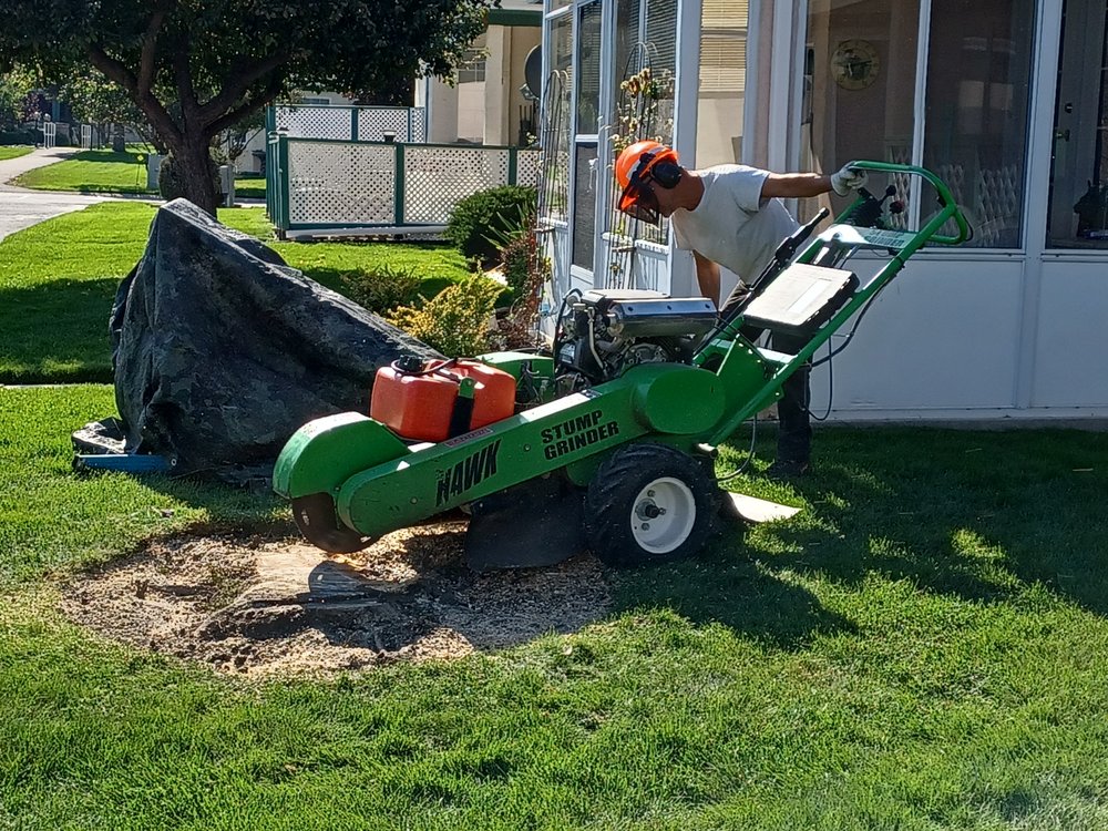 ALPINE ARBOR AND LANDSCAPING - Updated July 2026 - Request a Quote ...