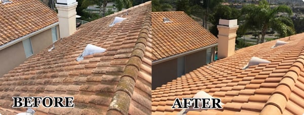 Coastal Softwash USA Logo