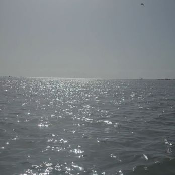 SPI Excursions - Boat Tours Near Me - South Padre Island, Texas SPI Excursions - Boat Tours Near Me - South Padre Island, Texas