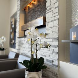 Hand & Stone Massage and Facial Spa
