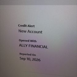 Ally Financial - one new loan when I paid it off on 9-1-26