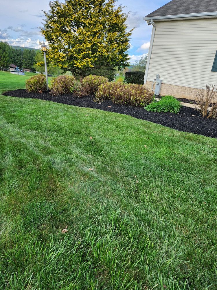 MONROY LANDSCAPING SERVICE 41 Photos Westminster, Maryland