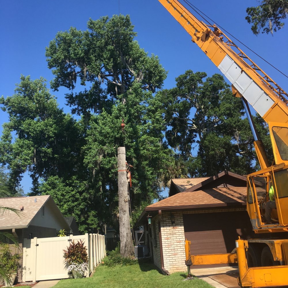 TOP NOTCH TREE SERVICE Tree Services 725 Dunlawton Ave, Port Orange