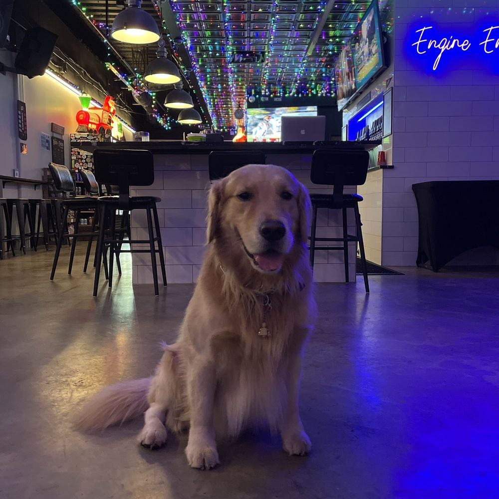 Terminal Tap - Buddy - Beer Bar Near Me - Greensboro, North Carolina Terminal Tap - Buddy - Beer Bar Near Me - Greensboro, North Carolina