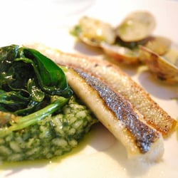 Restaurant Zott