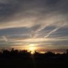 Paradise Valley Park gift card