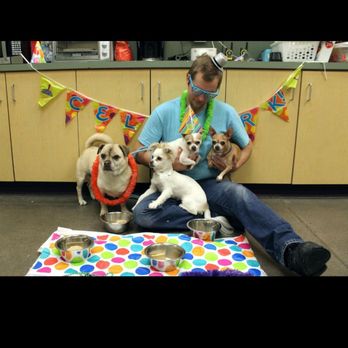 Pet Paradise Phoenix - They threw a little Bday party for Chiquita - Pet Groomers Near Me - Phoenix, Arizona