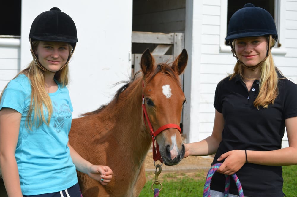 Forrestel Farm Riding Camp - equestrian in Medina, NY
