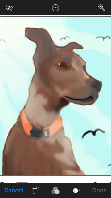 Animal House Veterinary Hospital Image