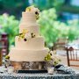 Photo of North Shore Weddings By Ana