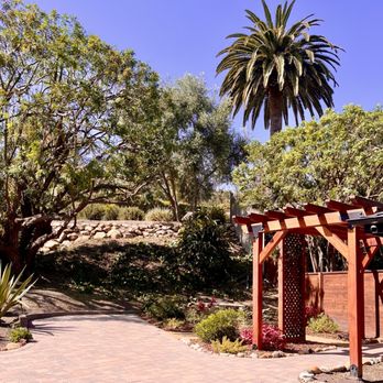 Sainz Tree Service - After view - Tree Services Near Me Sainz Tree Service - After view - Tree Services Near Me