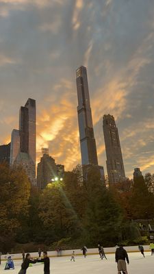 Wollman Rink by null