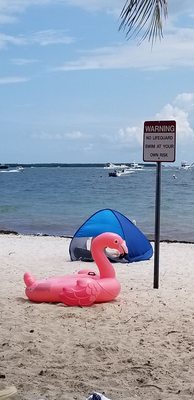 Hobie Island Beach by null