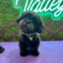 The Valley Mobile Grooming