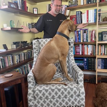 Paul Rene Furniture Studio - Library big enough for a big dog - Cabinetry Near Me - Phoenix, Arizona Paul Rene Furniture Studio - Library big enough for a big dog - Cabinetry Near Me - Phoenix, Arizona