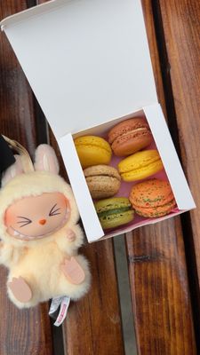 Le Macaron French Pastries by null