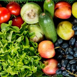 Amperhof Ökokiste - Die Amperhof Ökokiste - frisches Obst und Gemüse