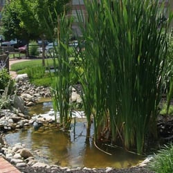 Lawn Masters Lawn & Landscaping
