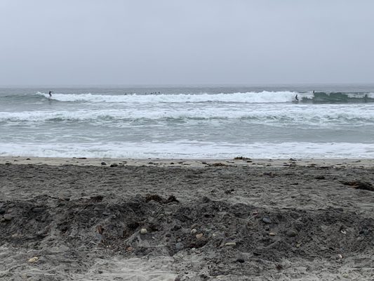 Cardiff State Beach by null