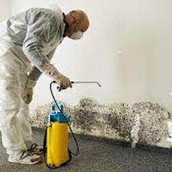 Floodfix Water Damage Restoration