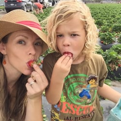 Spivey Farms Sales & Cooling - Taste test