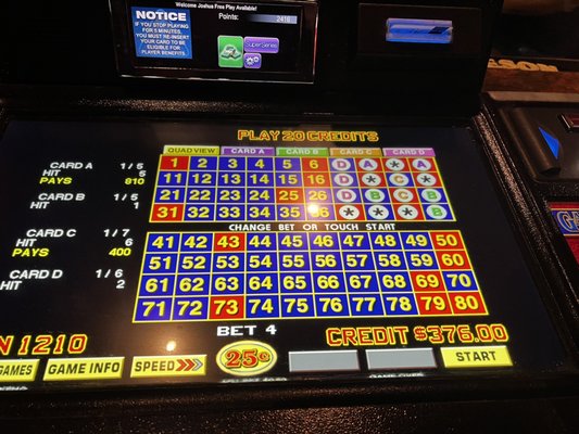 Remedy's Conestoga Way by null