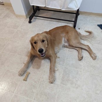 PetSmart Grooming - Pet Stores Near Me - Redding, California