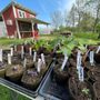 Photo of Fulbuschel Farm
