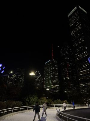 Maggie Daley Park Ice Skating Ribbon by null