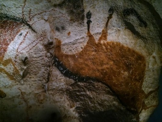 Lascaux International Center of Parietal Art by null
