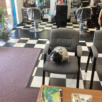 Shear Designers - Hair Salons Near Me - Newport News, Virginia Shear Designers - Hair Salons Near Me - Newport News, Virginia
