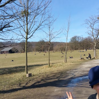 Steinhofgründe - Parks Near Me - Vienna, 9