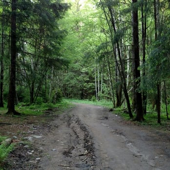 Sognsvann - Hiking Near Me - Oslo, 03